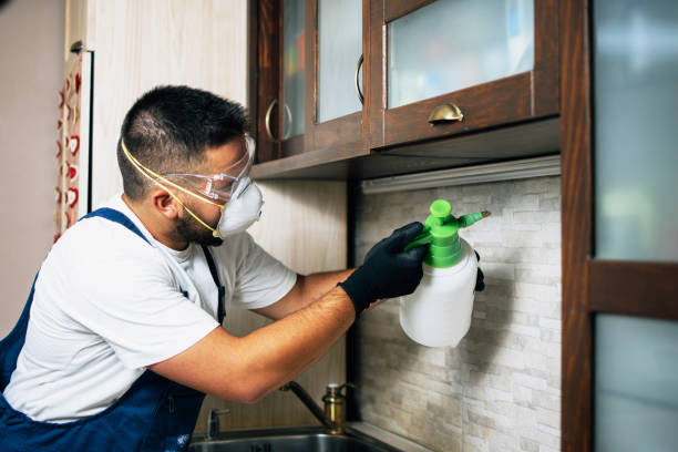 Professional Pest Control in San Elizario, TX
