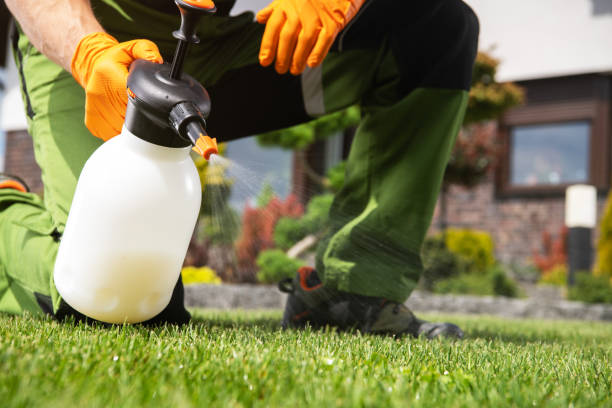 Best Emergency Pest Control  in San Elizario, TX