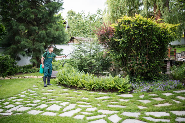 Best Local Pest Control Services  in San Elizario, TX