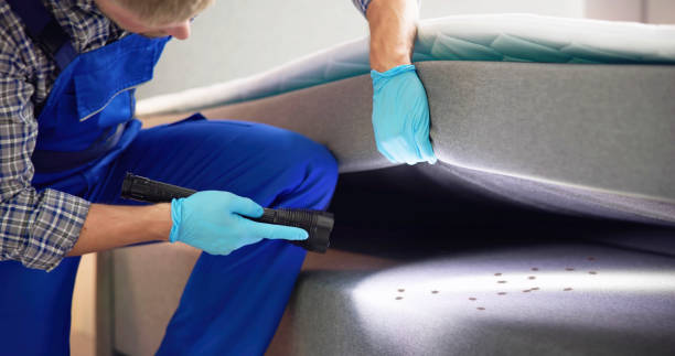 Best Residential Pest Control  in San Elizario, TX