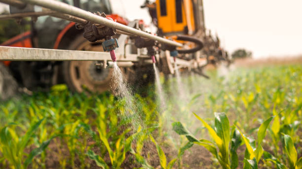 Best Mosquito Control Services  in San Elizario, TX
