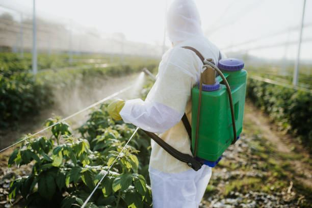  San Elizario, TX Pest Control Pros